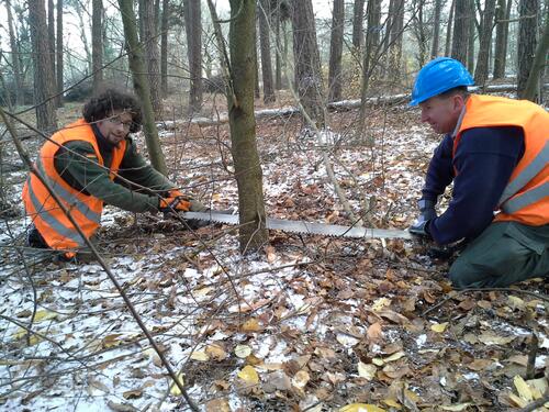 Bergwaldprojekt e.V. © Bergwaldprojekt e.V.