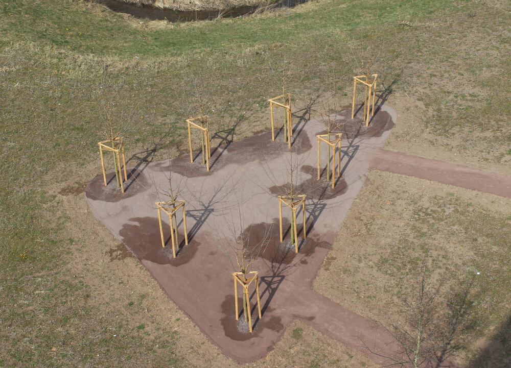 Baumspende zur Landesgartenschau Landau am Ebenberg 