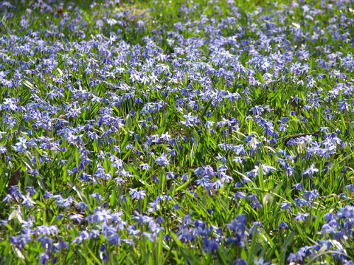 Frühling im DBU-Park 