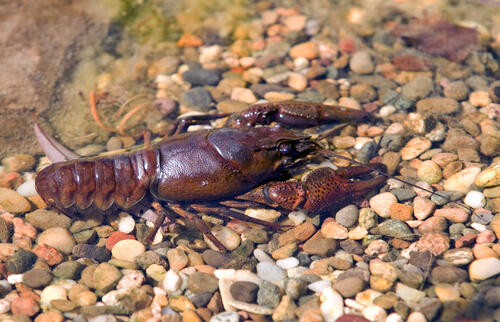 Sehen Sie selbst... &copy; Ott, Stefan/piclease