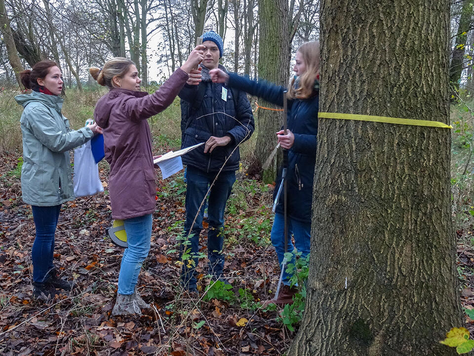 KooKiE - Wald als CO2 Speicher © Anke Hofmeister
