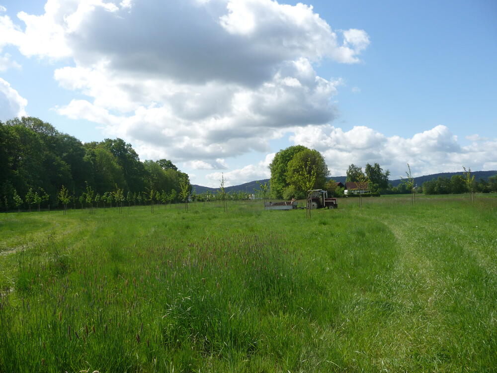 StipendiatenPark im Mai 2009 (Foto: DBU) 