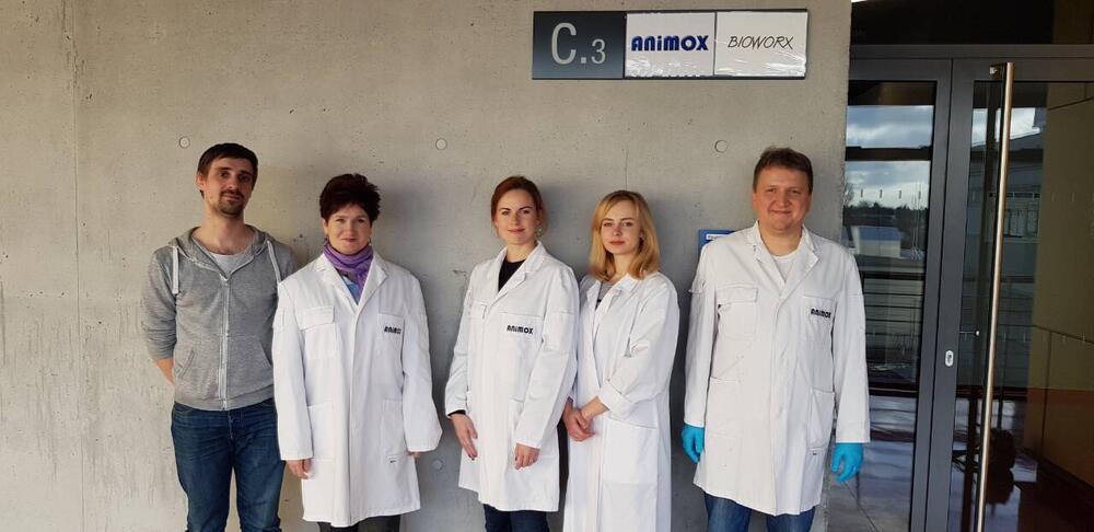 ANioMX und Staatliche Technische Universität Kaliningrad © Vladimir Volkov