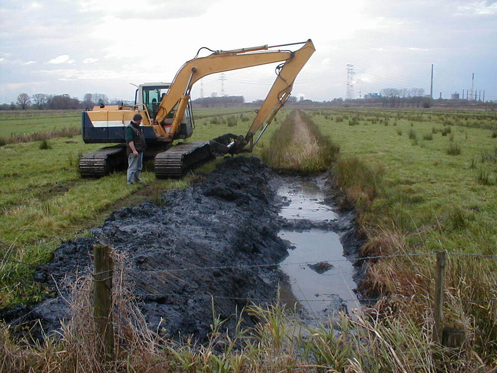 Grabenräumung/Bagger 