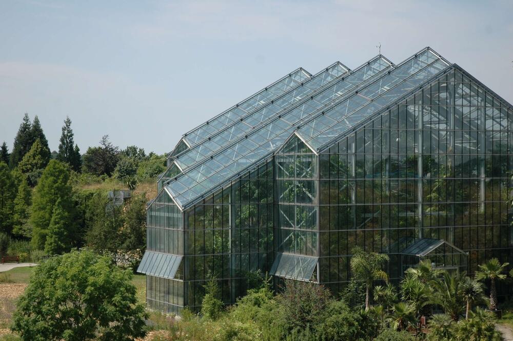 Jahrestagung des Verbandes Botanischer Gärten e.V. &copy; Peter Borgmann