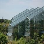 Jahrestagung des Verbandes Botanischer Gärten e.V. &copy; Peter Borgmann