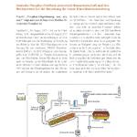 33815_Dt_Phosphor_03_Seite_1 &copy; Deutsche Phosphor-Plattform DPP e. V. 