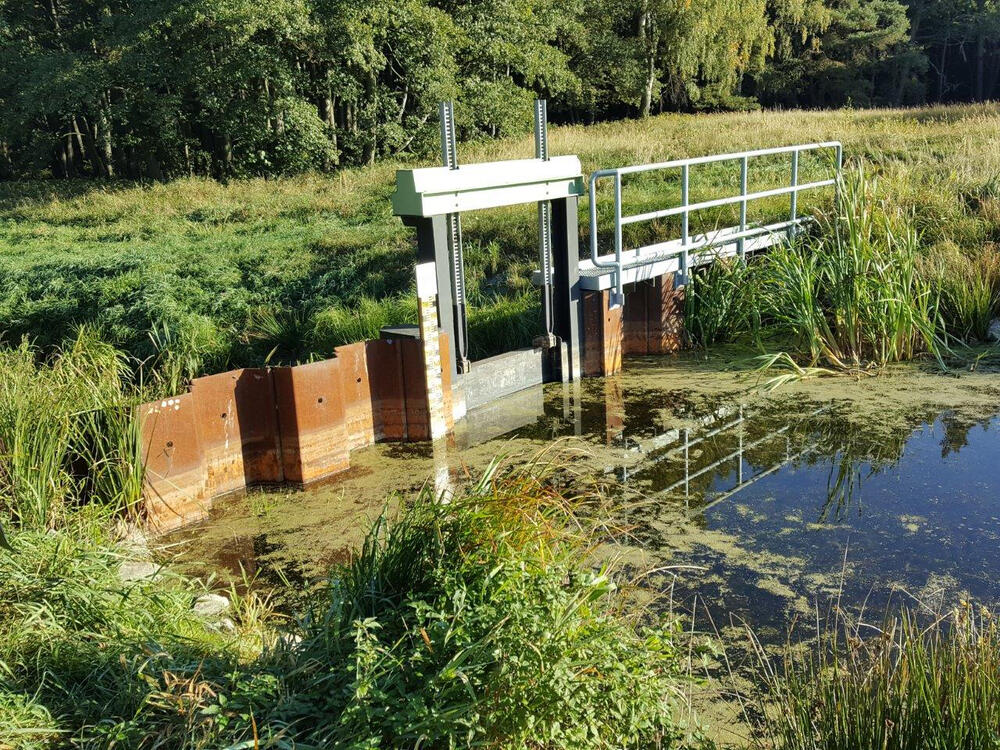 Stauwerk im Martenschen Bruch © H. Otto Denstorf/DBU Naturerbe