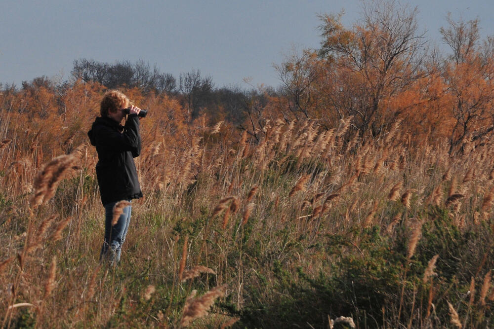 Ornithologie © Bernhard Gaese