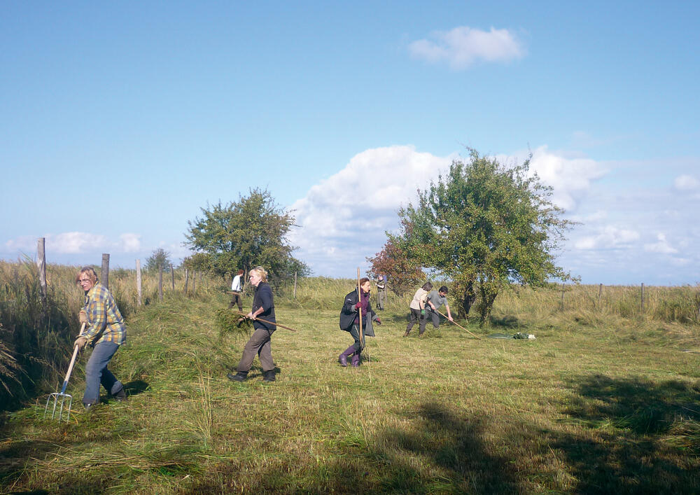 Freiwilligenprojekt DBU Naturerbe Peenemünde © Bergwaldprojekt e.V.