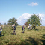 Freiwilligenprojekt DBU Naturerbe Peenemünde © Bergwaldprojekt e.V.