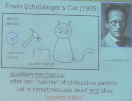 Schrödinger's Cat 
