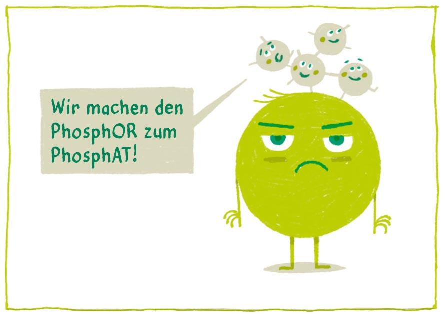 Sehen Sie selbst... &copy; Sylvain Mazas