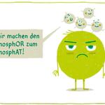 Sehen Sie selbst... &copy; Sylvain Mazas