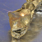 Sehen Sie selbst... © DBU-Projektpartner