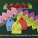 Neue Biokunststoffe - Beispiel Tier-Ohrmarken 