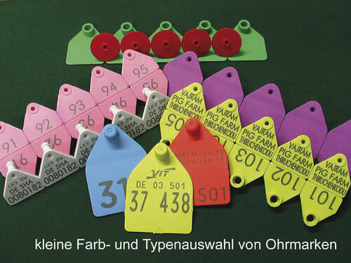 Neue Biokunststoffe - Beispiel Tier-Ohrmarken 
