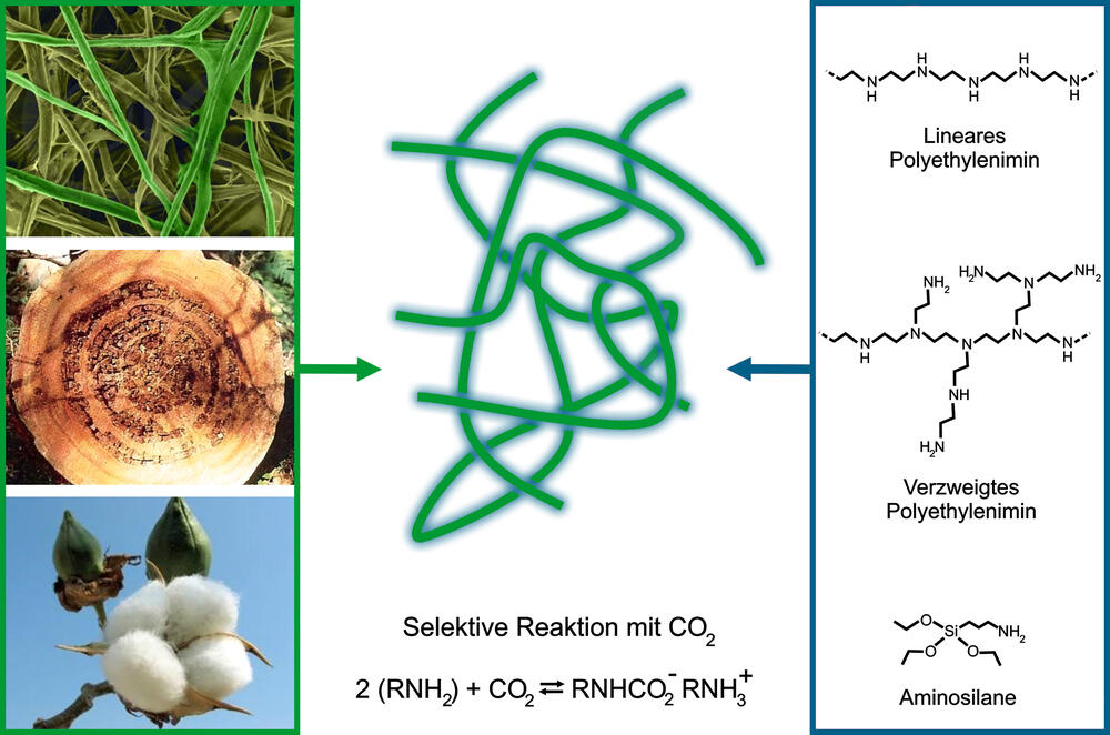 Sehen Sie selbst... &copy; DBU Projektpartner