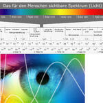 See for yourself © Premosys