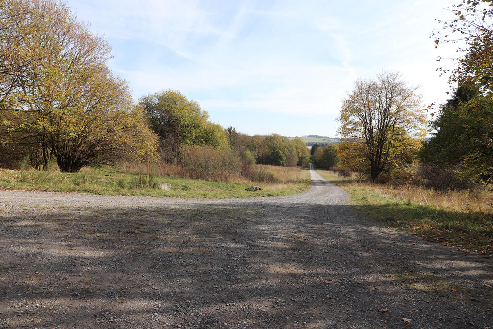 Weg Stegskopf © Deutsche Bundesstiftung Umwelt