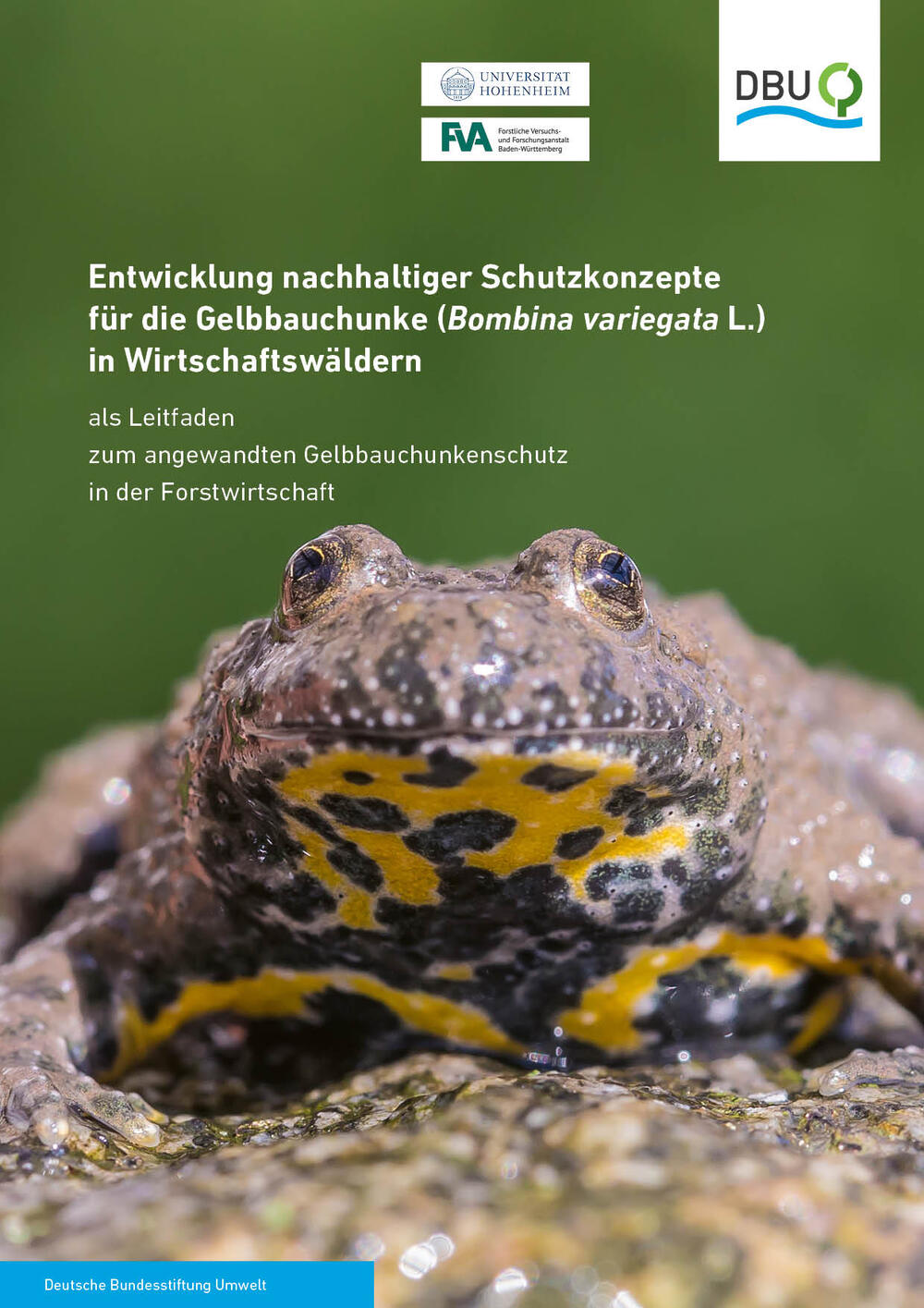 Die Broschüre zur Gelbbauchunke. © Deutsche Bundesstiftung Umwelt