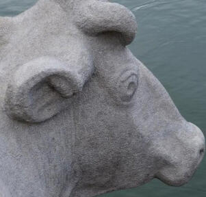 Sehen Sie selbst... © Institut für Diagnostik und Konservierung an Denkmalen in Sachsen und Sachsen-Anhalt e.V., Halle (Saale)