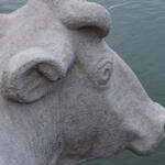 Sehen Sie selbst... © Institut für Diagnostik und Konservierung an Denkmalen in Sachsen und Sachsen-Anhalt e.V., Halle (Saale)