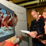 Sehen Sie selbst... &copy; DBU/ Pentermann