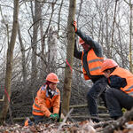 Bergwaldprojekt Hainberg © Bergwaldprojekt e.V.