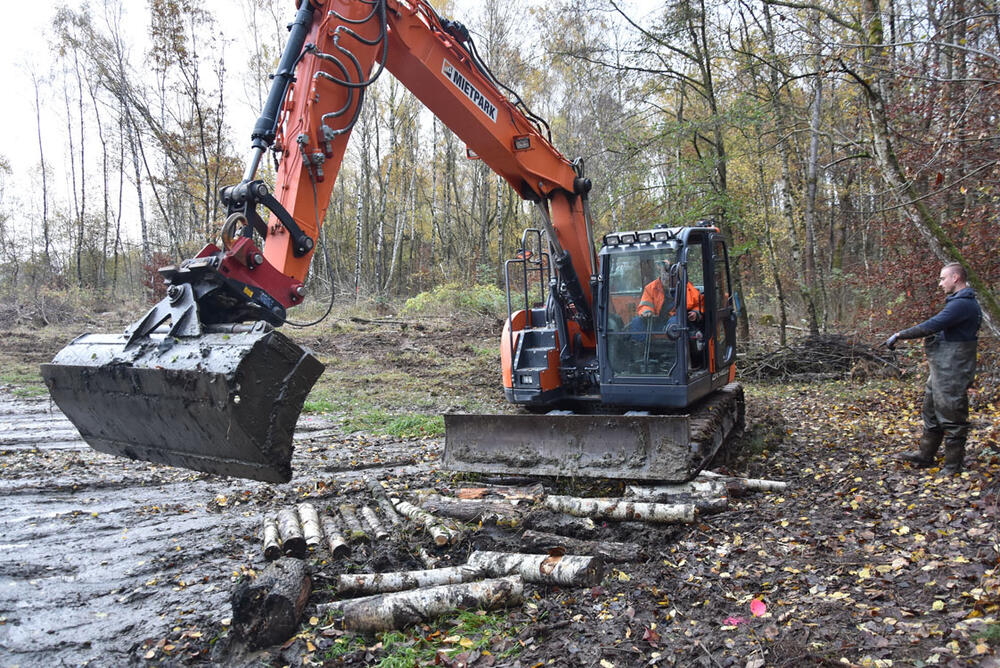 DBU Naturerbefläche Hohe Schrecke © Dierk Conrady/Naturstiftung David