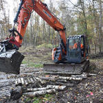 DBU Naturerbefläche Hohe Schrecke © Dierk Conrady/Naturstiftung David