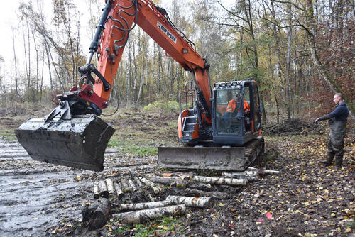 DBU Naturerbefläche Hohe Schrecke © Dierk Conrady/Naturstiftung David