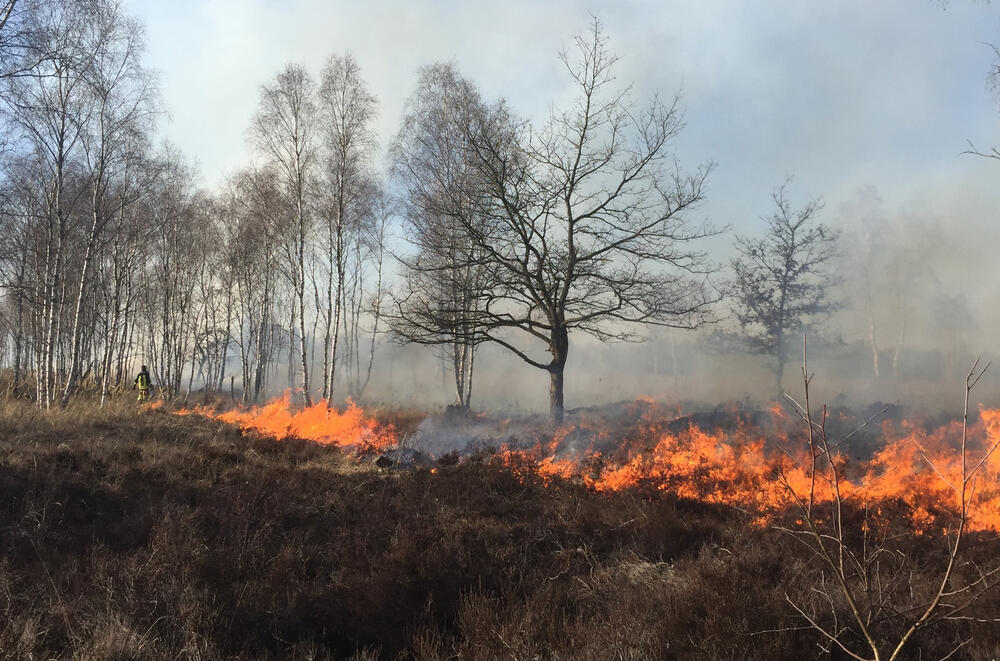 Kontrolliertes Brennen auf der NNE-Fläche Glücksburger Heider &copy; Rathmann/Bundesforst