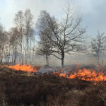 Kontrolliertes Brennen auf der NNE-Fläche Glücksburger Heider © Rathmann/Bundesforst