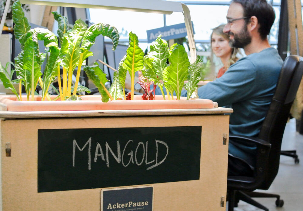 Ackercompany © AckerCompany