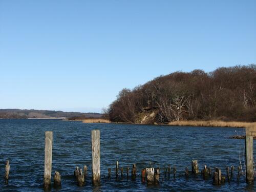Blick vom Hafen auf die Insel Vilm 