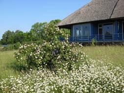 Außenstelle des Bundesamtes für Naturschutz (BfN) Insel Vilm/Rügen 