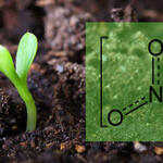 Nitrat &copy; STEP Systems GmbH