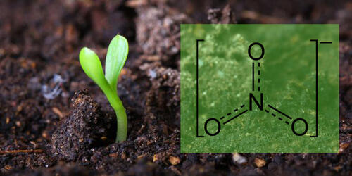 Nitrat &copy; STEP Systems GmbH