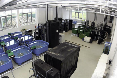 Sehen Sie selbst... &copy; Institute for Marine Resources (IMARE)/Uli B. Seemann