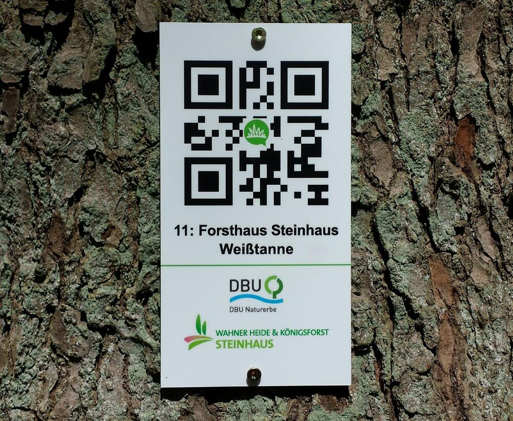 QR-Code in der Wahner Heide 
