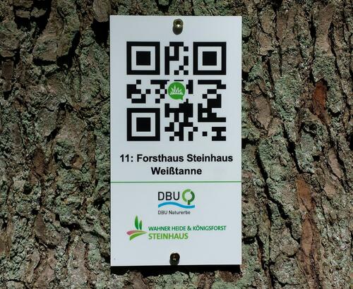 QR-Code in der Wahner Heide 