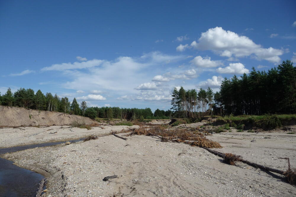 Sehen Sie selbst... © DBU Naturerbe GmbH