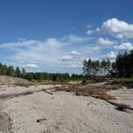 Sehen Sie selbst... © DBU Naturerbe GmbH