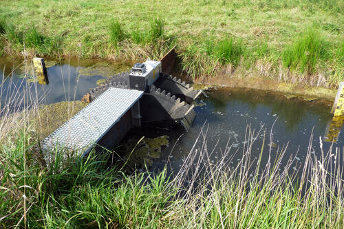 Klappenstau © Uwe Fuellhaas/DBU Naturerbe GmbH