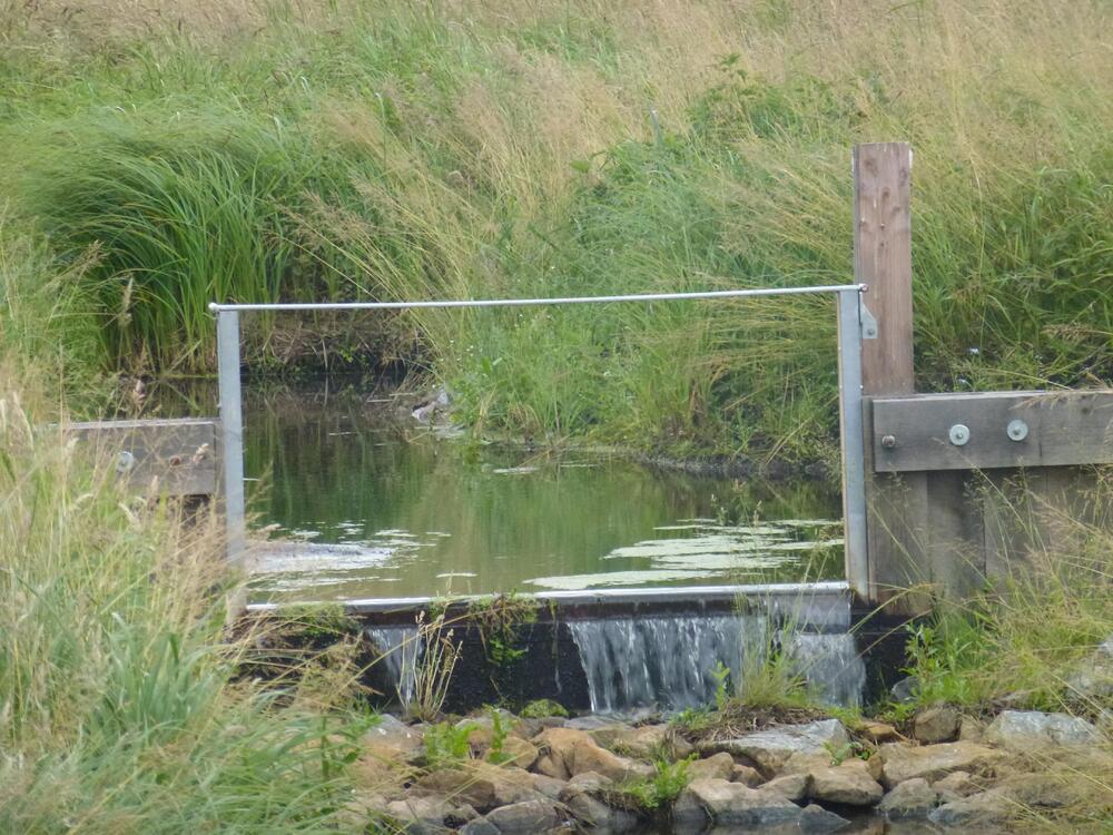 Sohlgleiten in der Ueckermünder Heide 