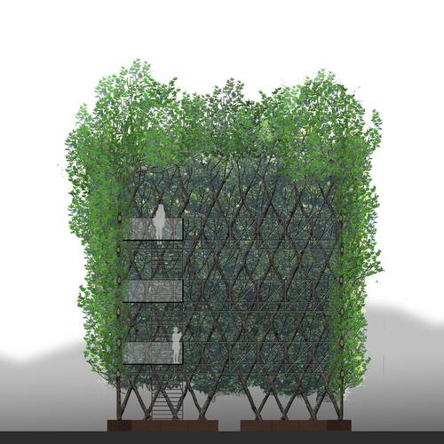 Visualisierung des Platanenkubus 