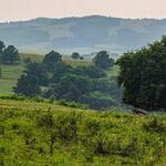 AZ 37480 Hutewälder Rumänien © BBU, Cluj-Napoca