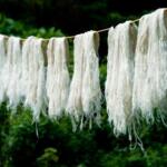 Projekt Ananasfasern AZ 34997 © hessnatur