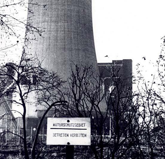 Sehen Sie selbst... &copy; Stiftung Naturschutzgeschichte